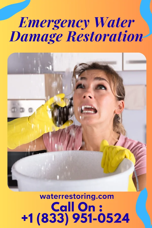 Emergency Water Damage Restoration in Runge, TX