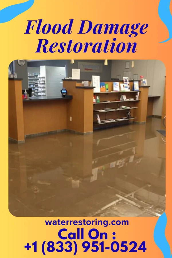 Flood Damage Restoration in Runge, TX